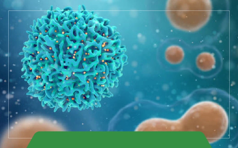 Как Выбрать Подходящий Термоциклер для Вашей Лаборатории?