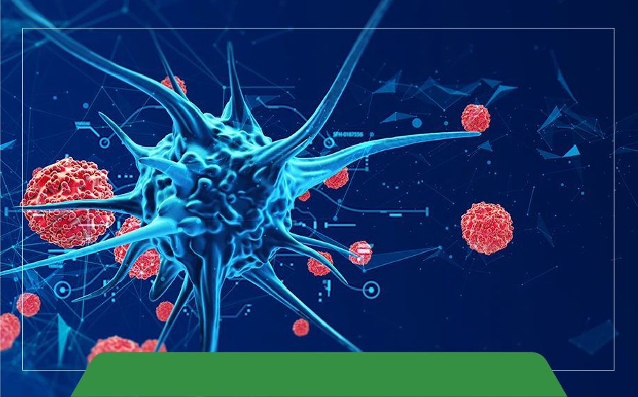 Какие Типы Роторов Используются в Лабораторных Центрифугах?