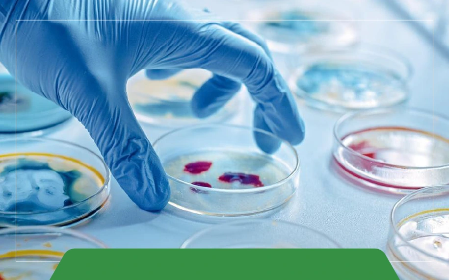 Как Чистить и Обслуживать Аппарат для Гель-Электрофореза?