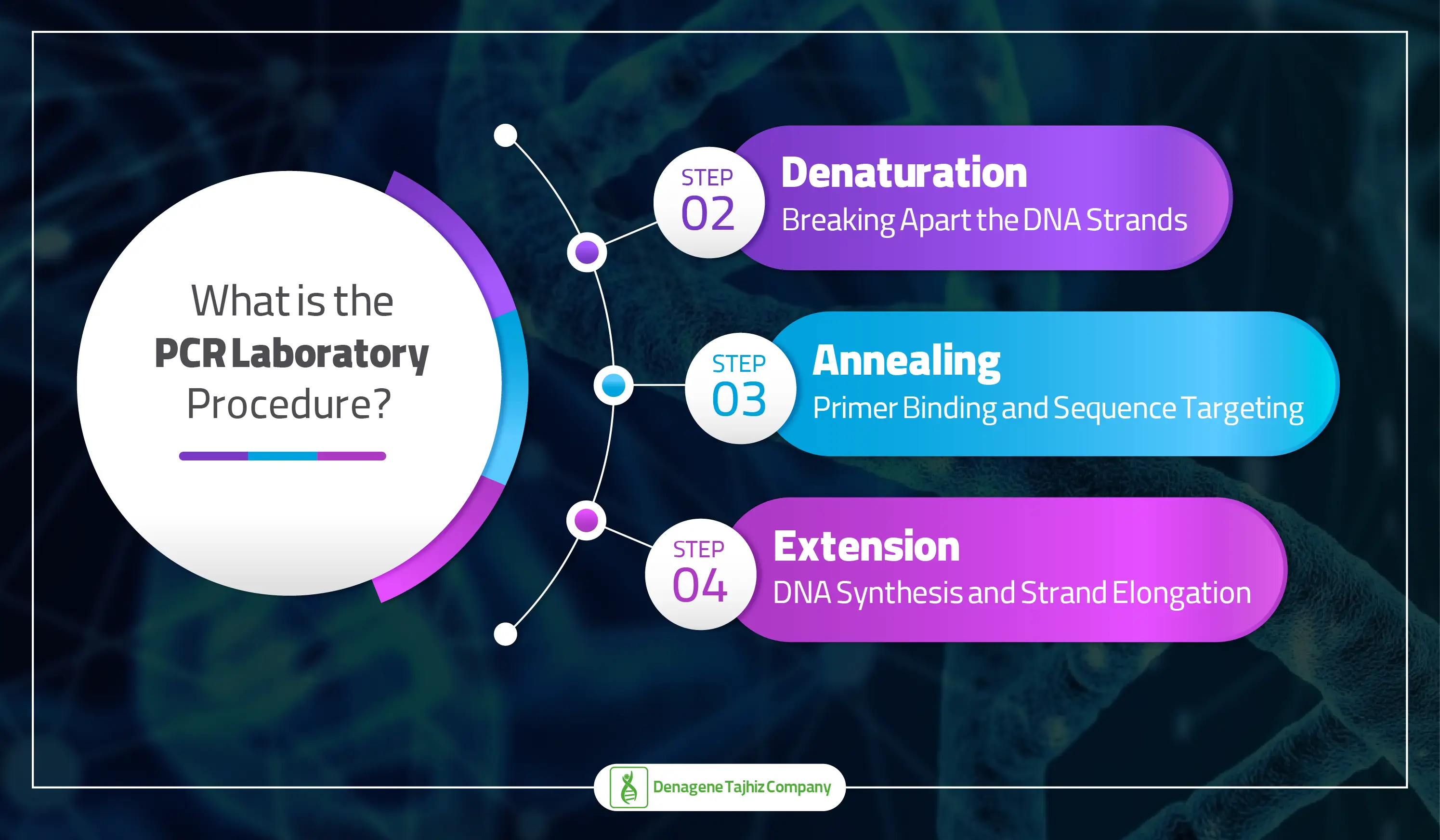 What is the PCR laboratory procedure?&nbsp;