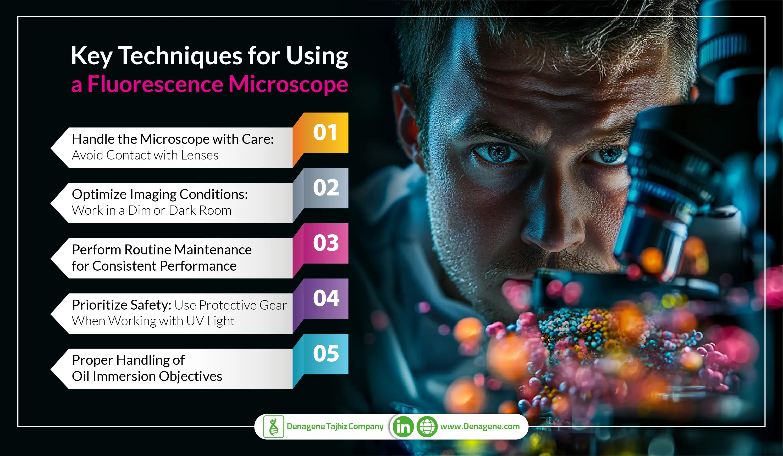 Key Techniques for Using a Fluorescence Microscope Efficiently