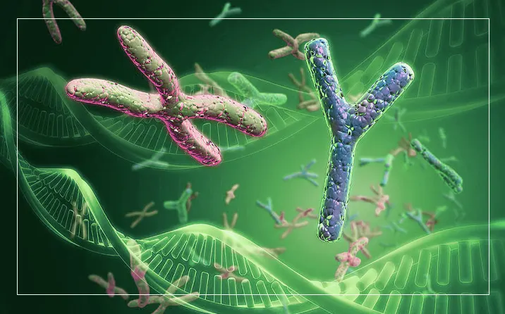 Revealing Allergic Reactions’ Hidden Dynamics: How Mast Cells Capture and Utilize Neutrophils